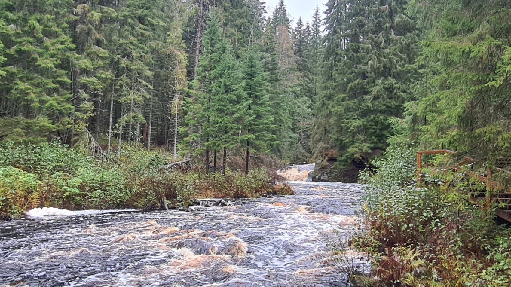 В Карелию на день из Петербурга в мини-группе! (4/7)