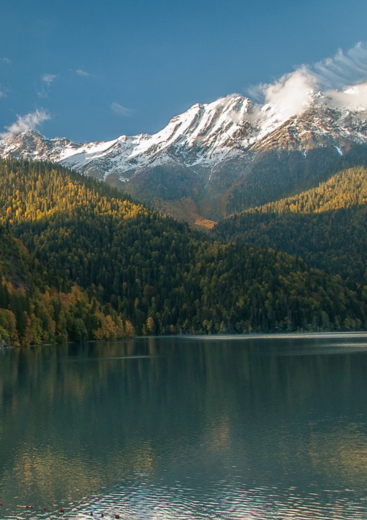 Экскурсия на озеро Рица  (5/11)