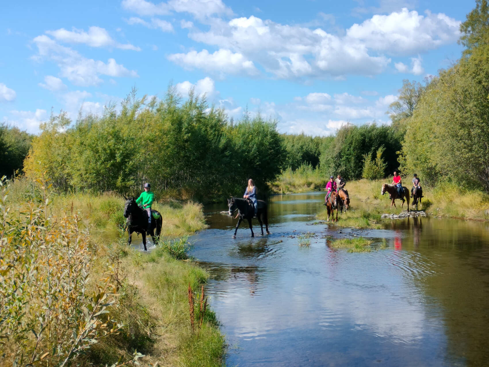 Конный тур в Медвежий Угол (4/17)