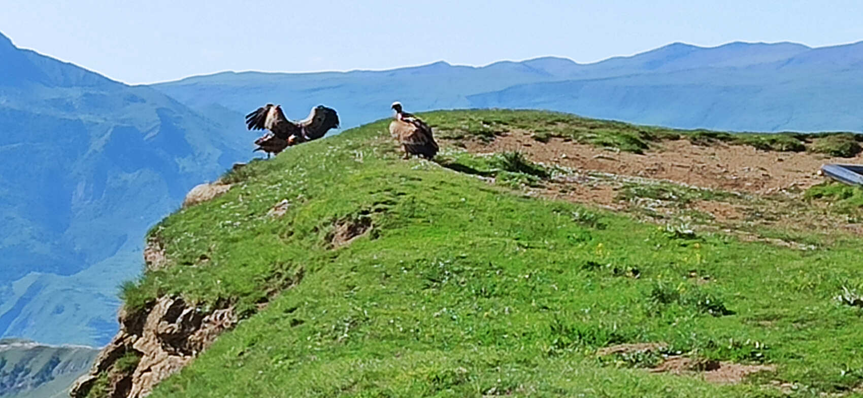Шунудаг- самое высокое плато в Дагестане (2/13)