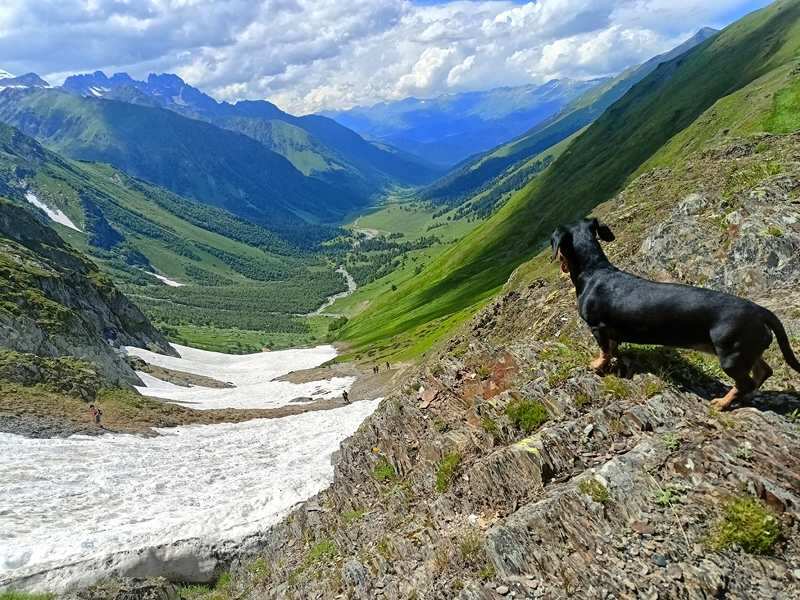 Архыз-Домбай экскурсионный (32/63)