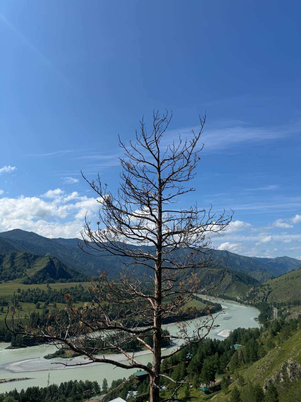 Экскурсия Чемальский район (10/11)