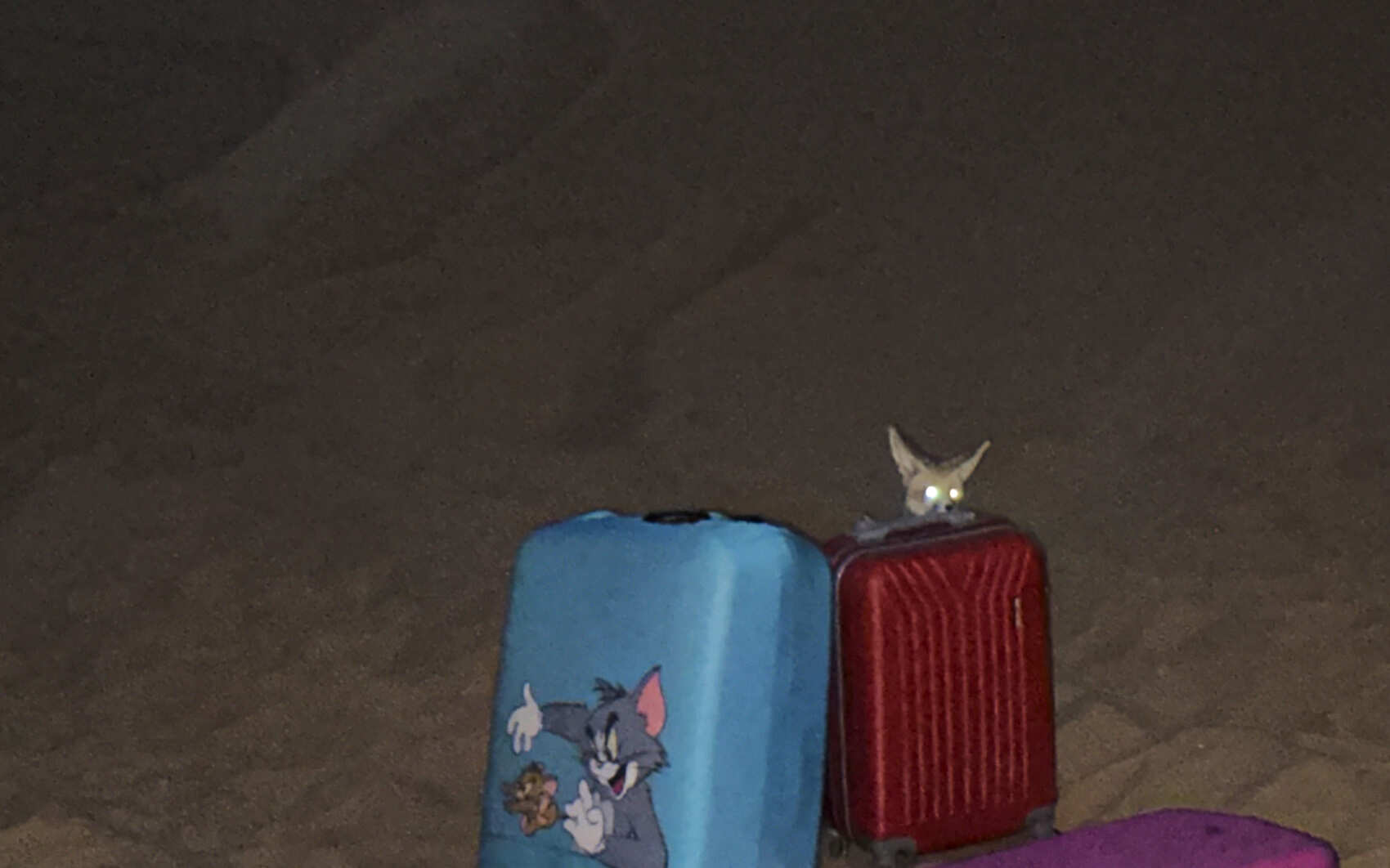 Круиз, Пески и Храмы Египта: Пустыни и Культурные Сокровища! (36/87)