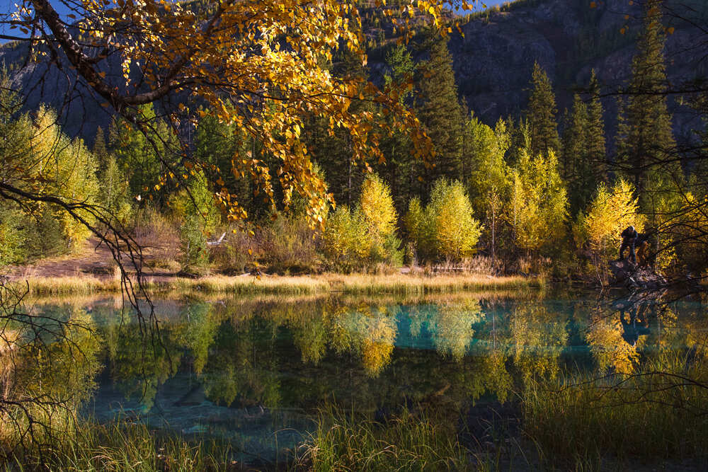 Фототур Золото Алтая (32/79)