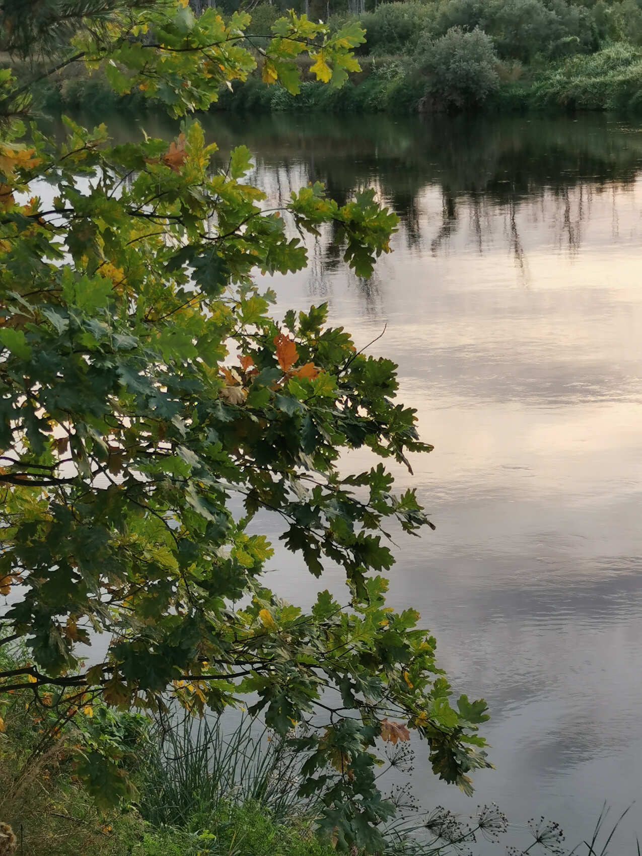 Сплав на байдарках по реке Клязьма (Подмосковье) с походной баней и казаном (12/27)