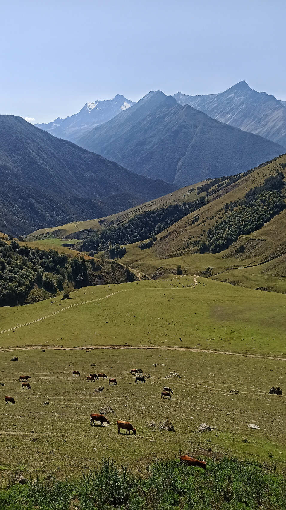 Из Минвод в Ингушетию, страну легенд и башен... Индивидуальный тур (17/20)