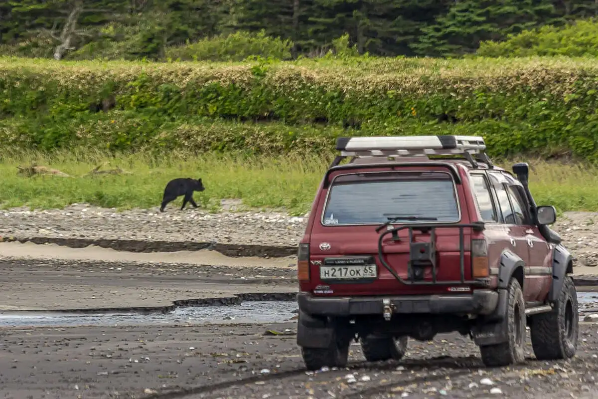 Три вулкана Курильских островов. Путешествие на другую планету (12/138)