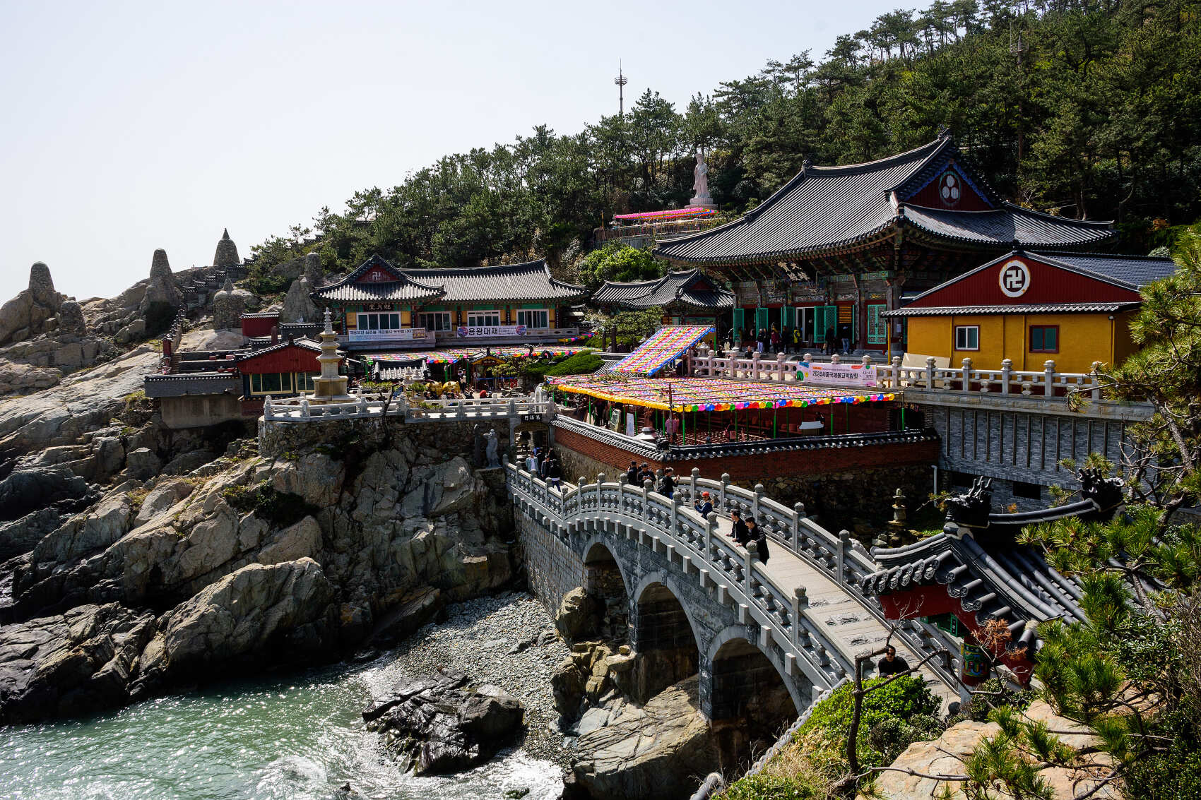 Южная Корея. Сакура в утренней свежести (14/34)