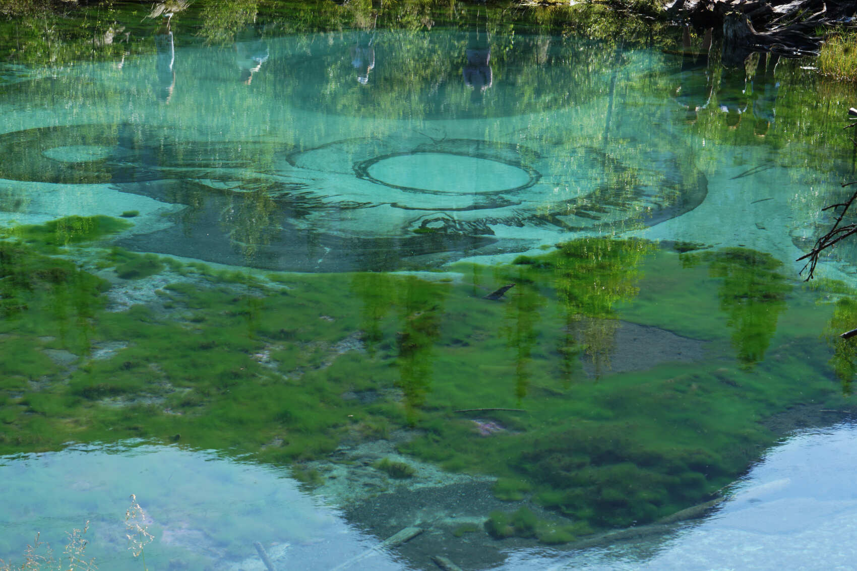 Актив-тур +: конные прогулки, сплав, трекинг, Чуйский тракт! (18/43)