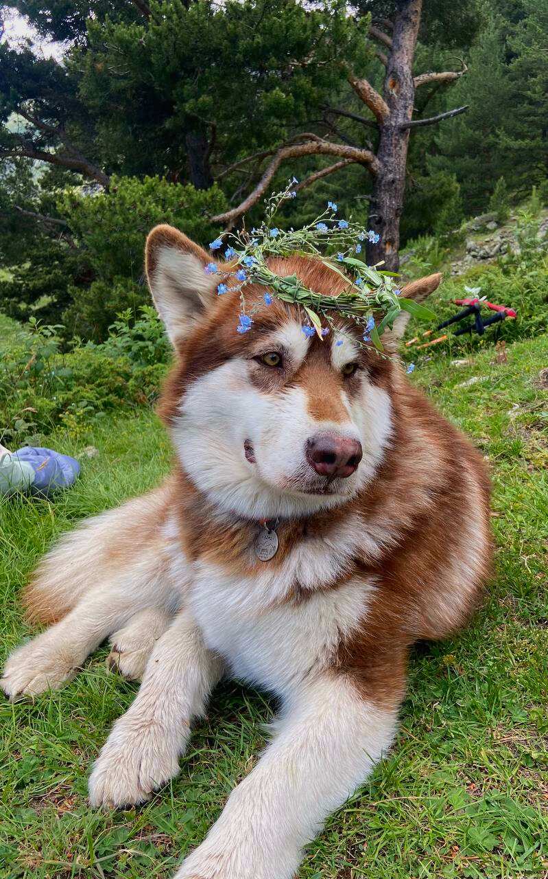 Знакомство с Эльбрусом, 3 дня в Приэльбрусье (6/24)