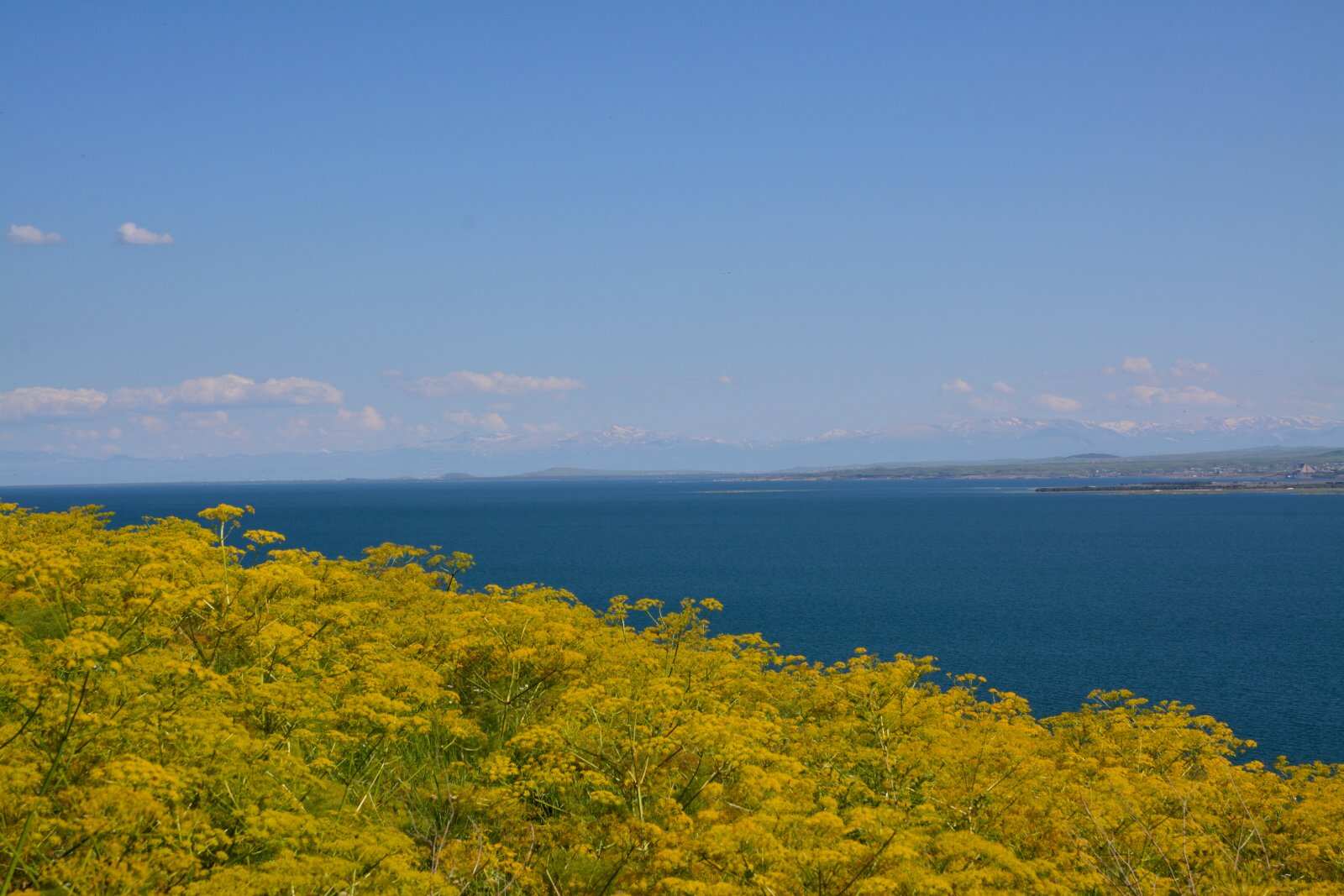 Севанская мозаика