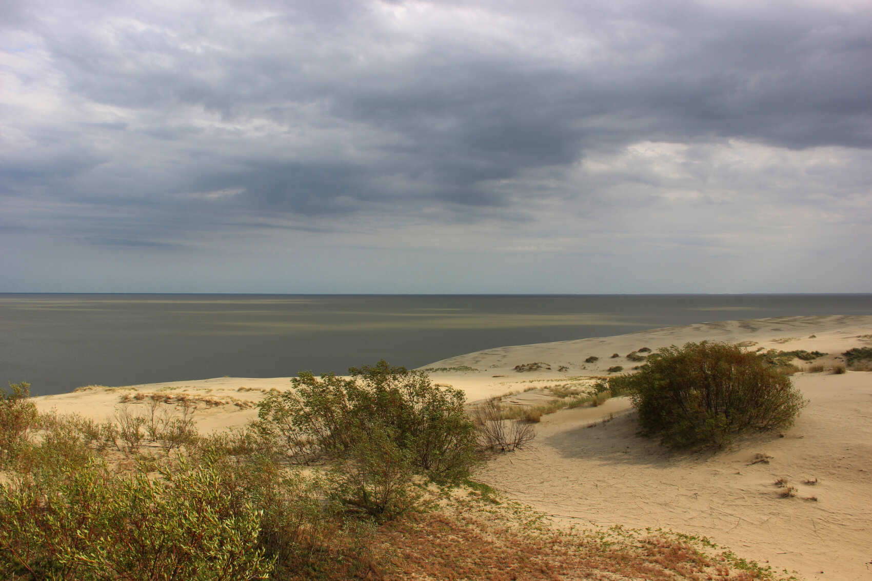 C ночевкой на Куршской: коса + Зеленоградск (15/26)