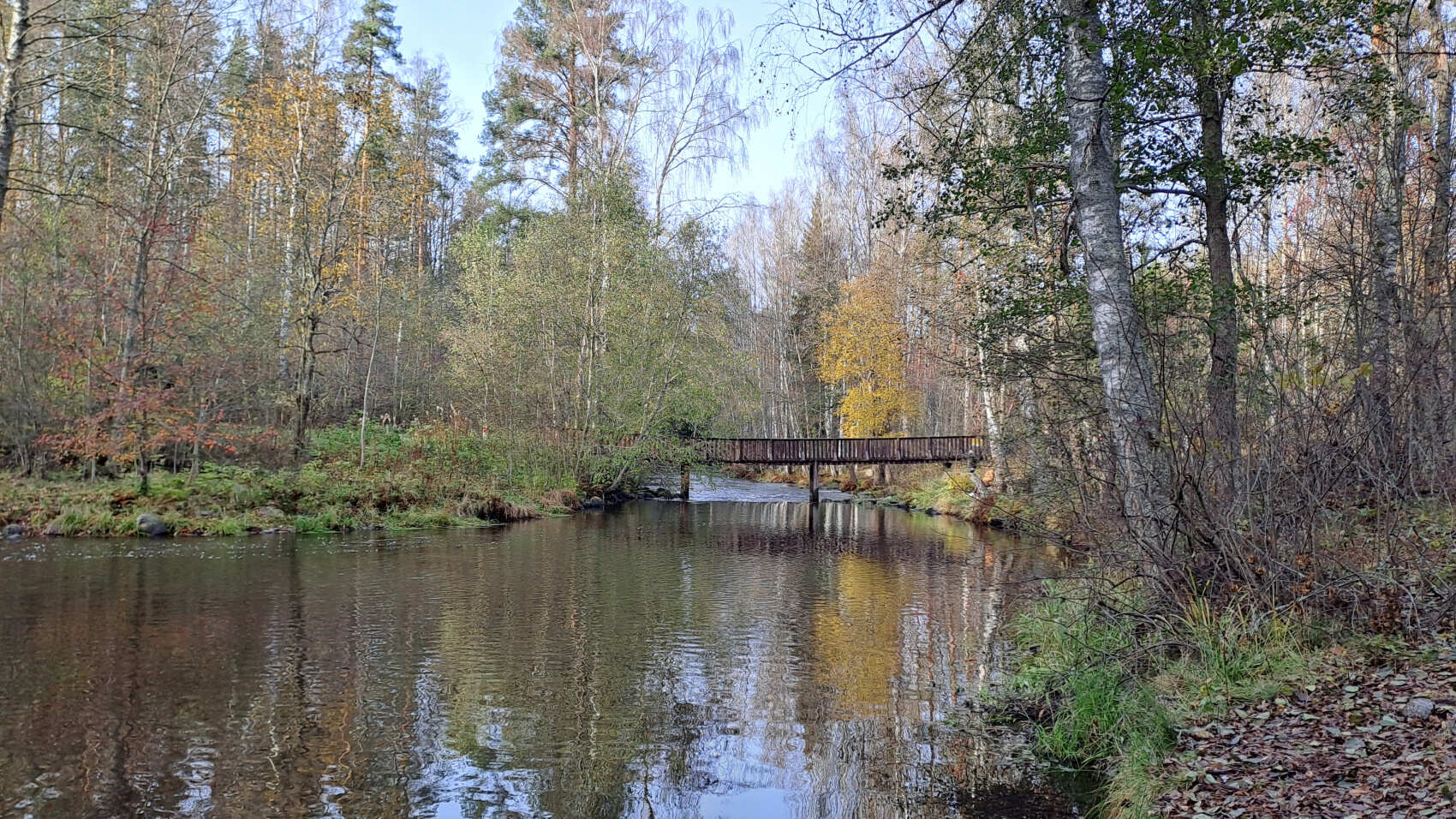 По тропам Ленинградской области. Петяярви. (6/9)