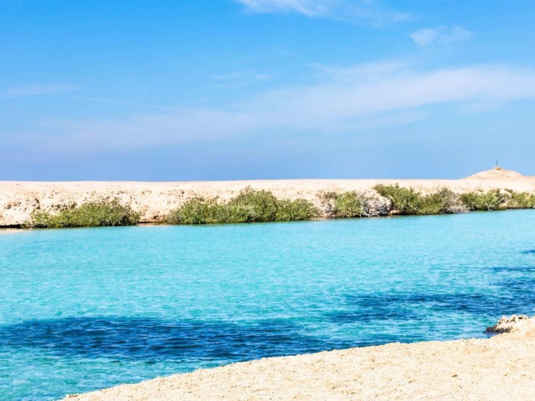 Индивидуальный тур в заповедник Рас-Мохаммед (с обедом из морепродукто (4/17)