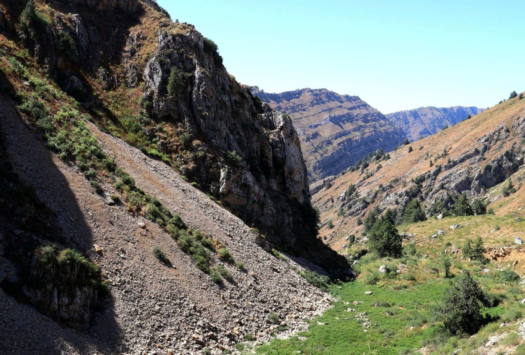 В сердце природы и пикник с видом на вершины (8/8)