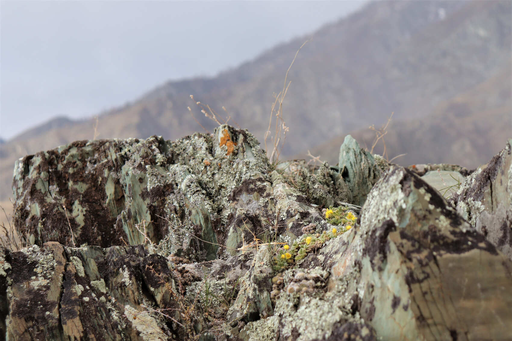  Майские-2026: Чемал, Телецкое, Чуйский тракт и Кату-Ярык (группа до 6 чел.) (23/46)