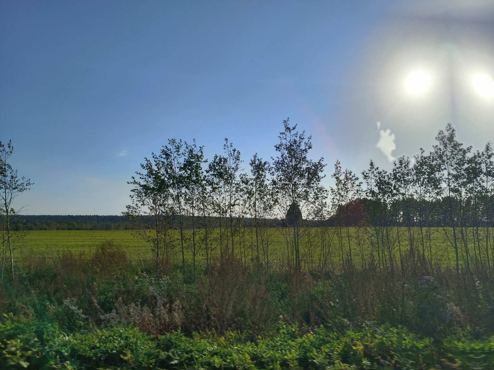 Сплав на байдарках по реке Угра (Калужская обл.) (7/7)