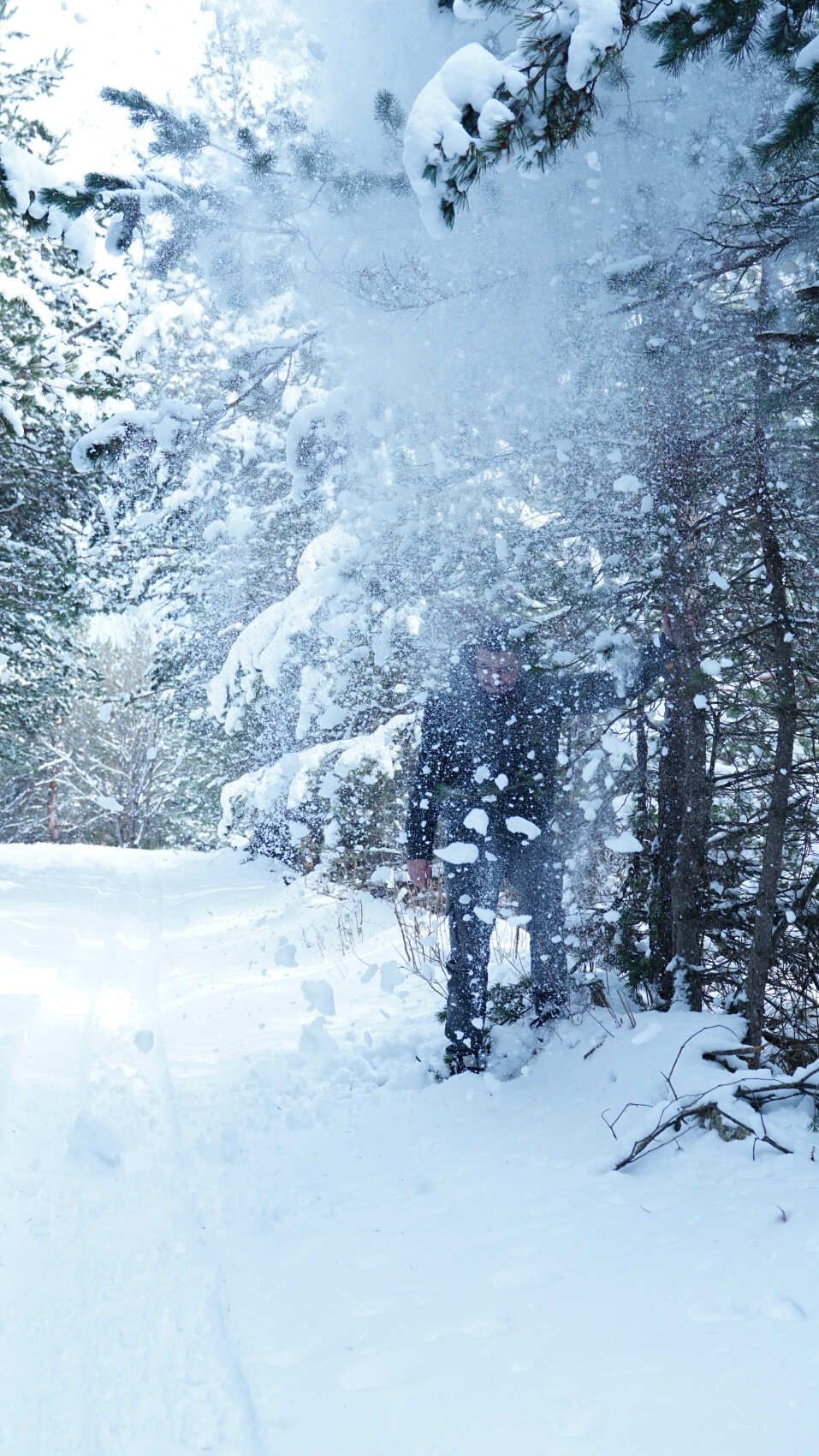 Северная Осетия и Кабардино-Балкария (65/91)