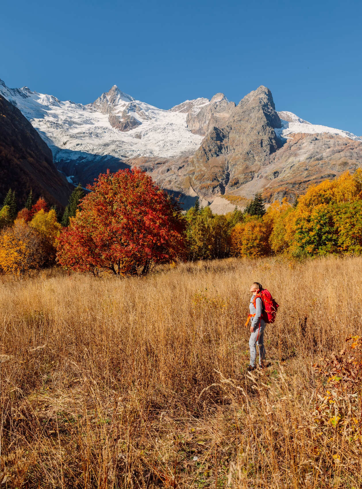 Сокровища Домбая (5/29)