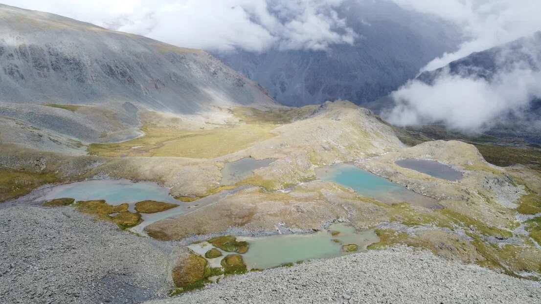 Треккинг к подножию Белухи налегке, с конным сопровождением (57/69)