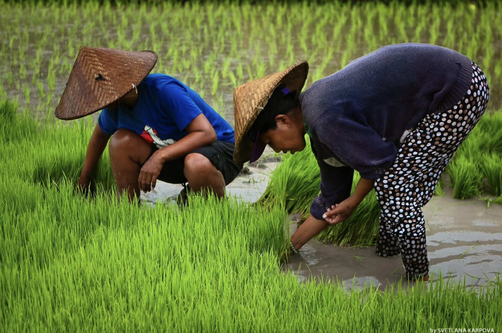 Фото-девичник на Бали за 10 дней (15/167)
