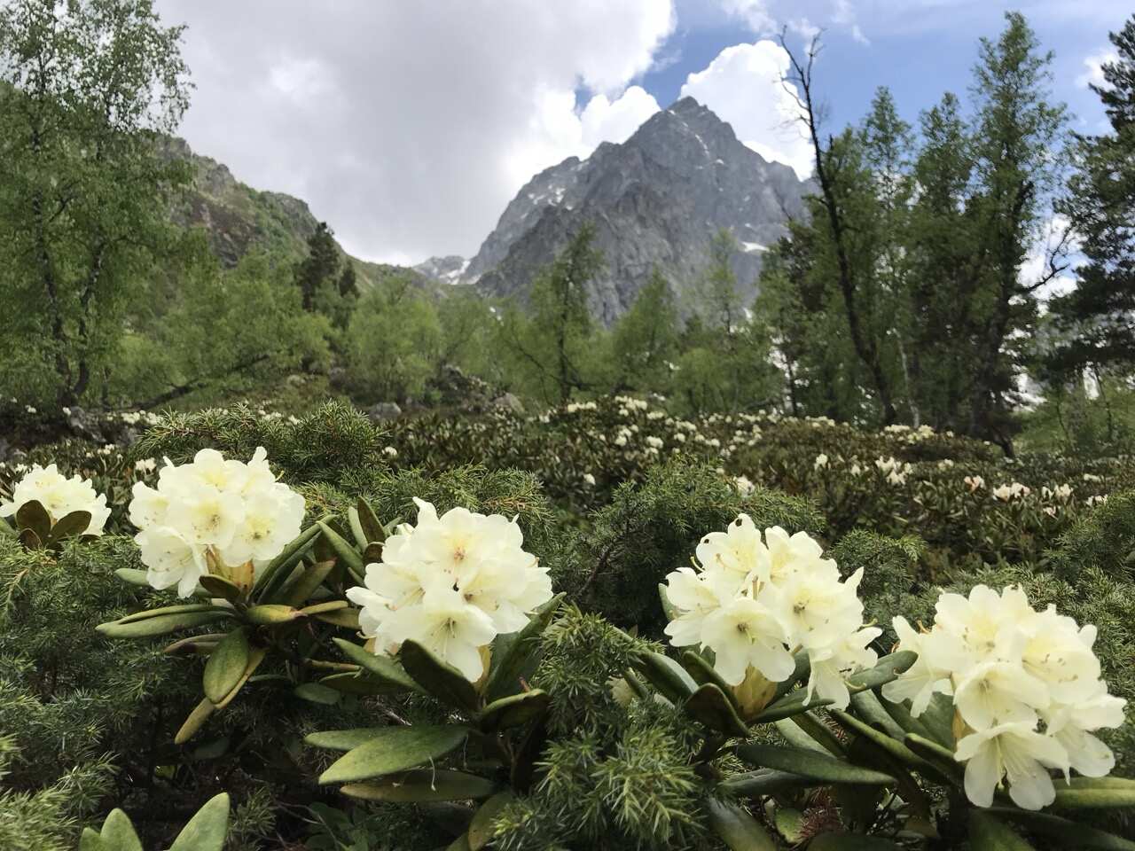 7-дневный конный тур По Кавказским горам в Архызе (19/42)