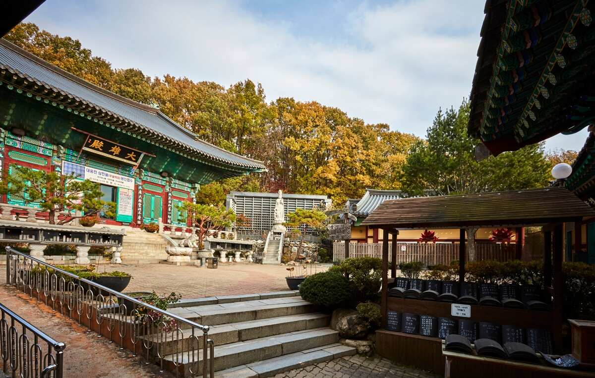 Южная Корея: полное погружение (5/52)