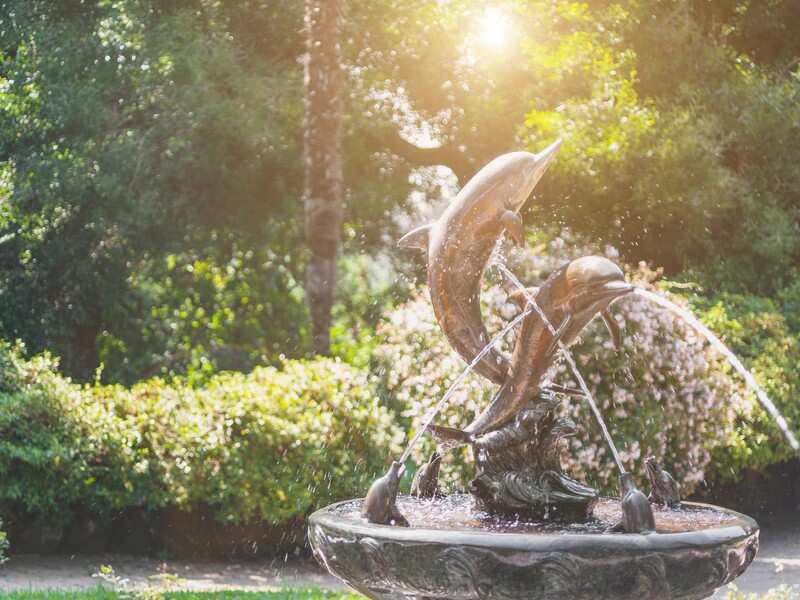 Индивидуальная Экскурсия в крепость Гонио и Батумский Ботанический сад (4/7)