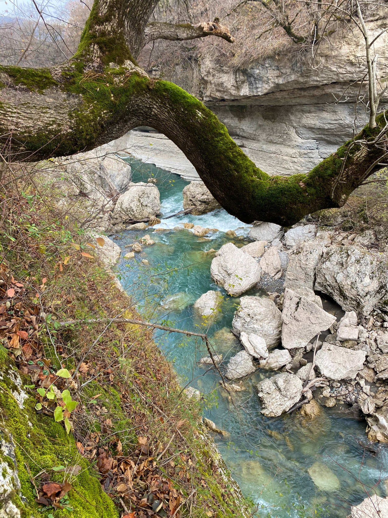 Адыгея за 3 дня: природа, термы и сыр (индивидуально, по запросу) (19/20)