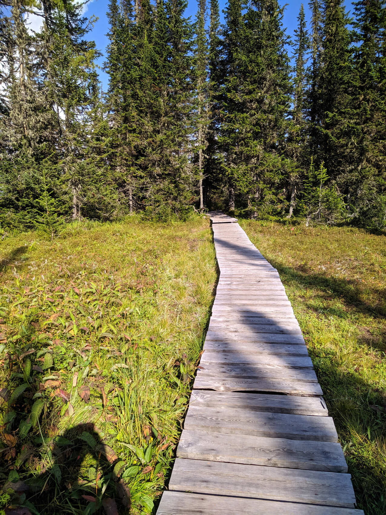 Ергаки. Каменный город (7/9)