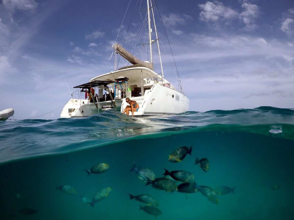 Австралия на парусном катамаране. Острова Уитсанди и барьерный риф (2/31)