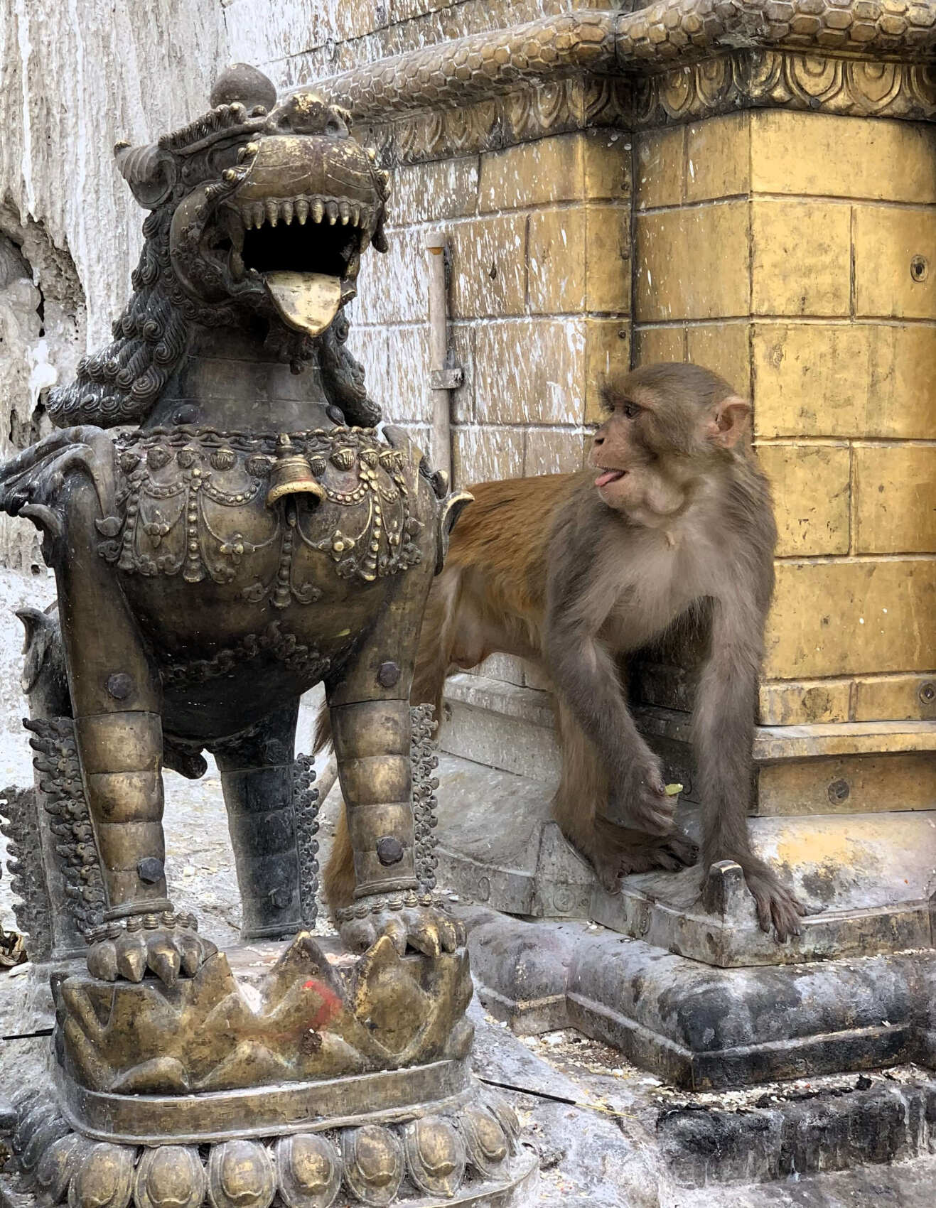 Загадочный Катманду: город Богов и легенд (8/24)