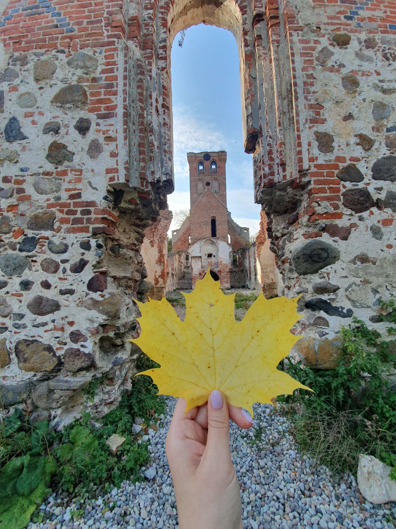 Калининград от местного. С душой и для души! (24/37)