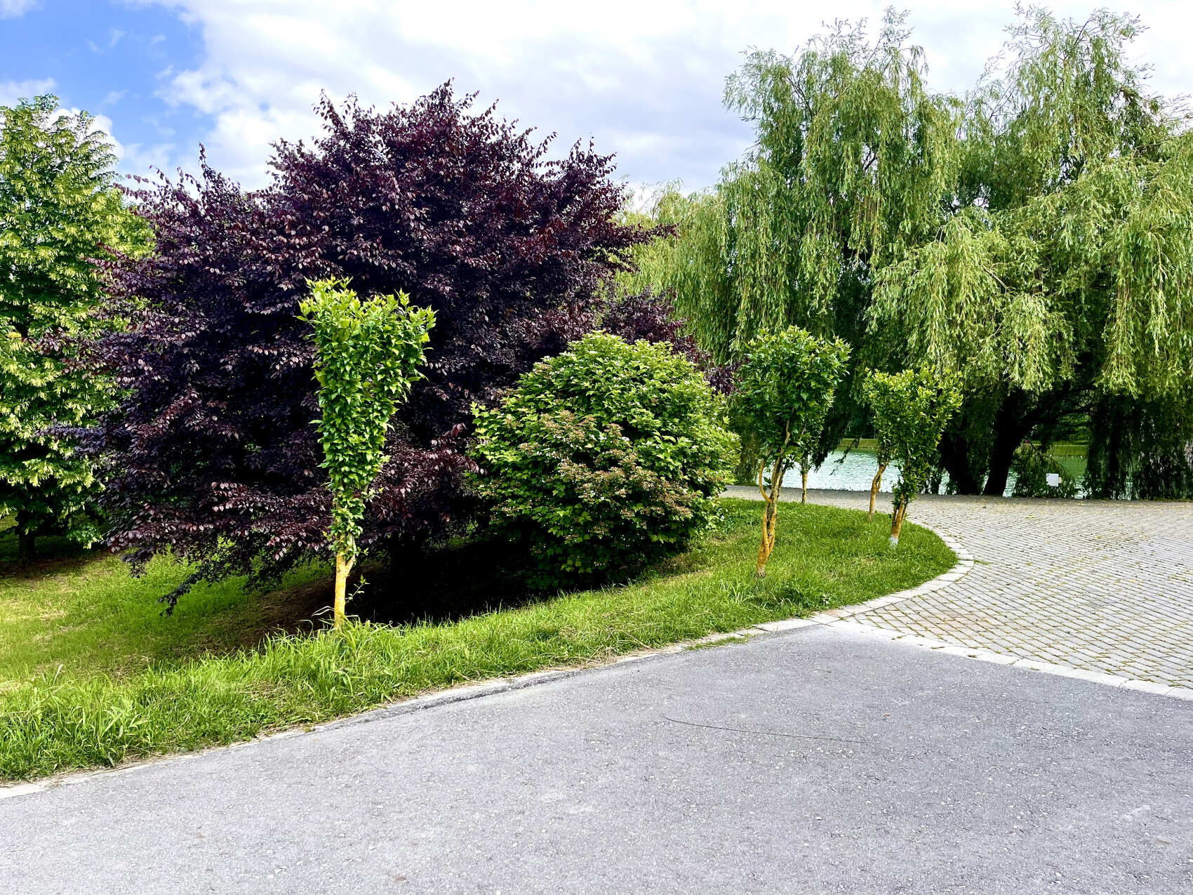 Романтическое путешествие к замку Шато Эркен с релаксом в термальных источниках (5/10)