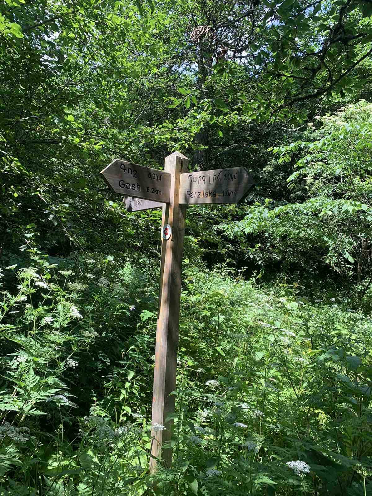 Пешая экскурсия по Дилижанскому национальному парку (13/20)