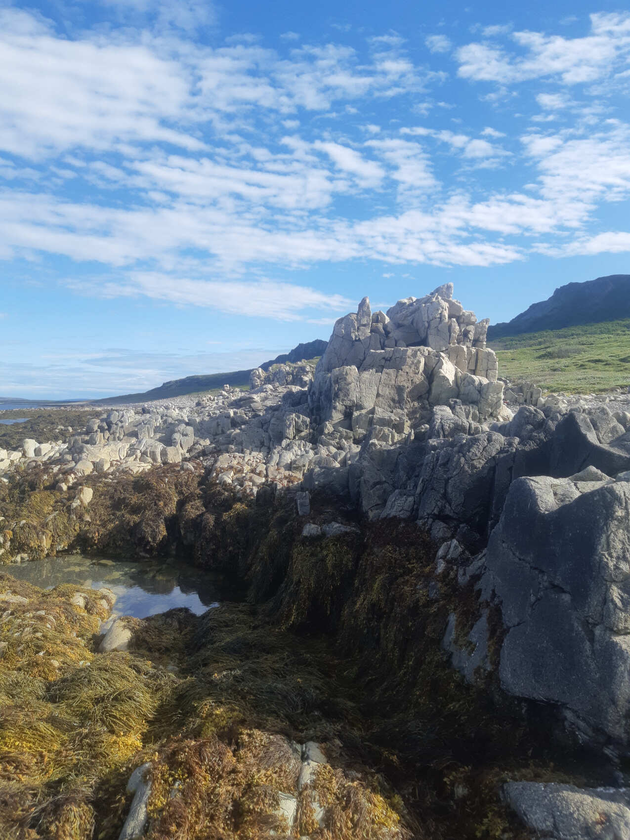 Рыбачий, Средний полуострова (12/15)