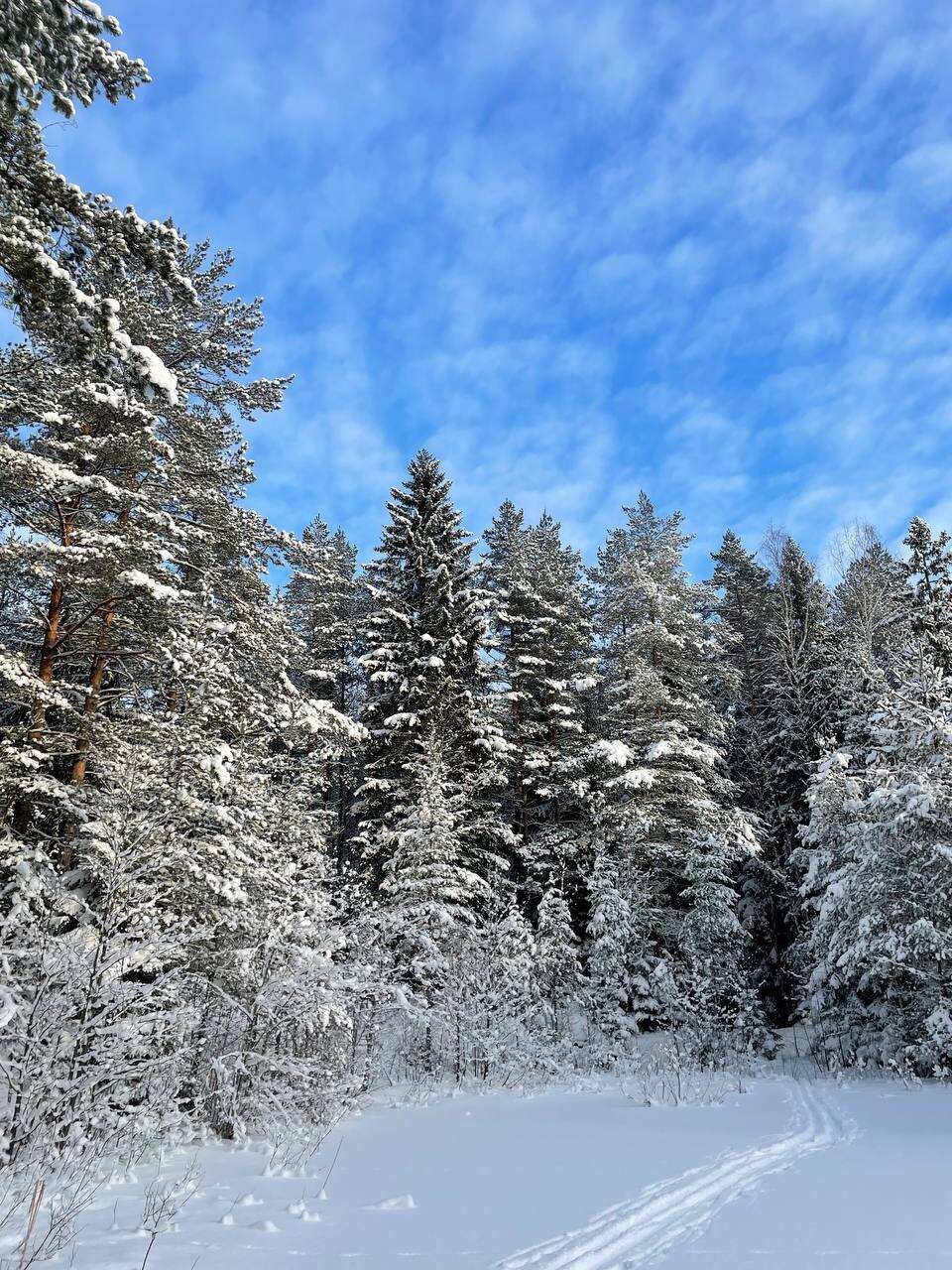 Лыжный день по сказочным местам. Однодневный выезд из Петербурга (15/17)