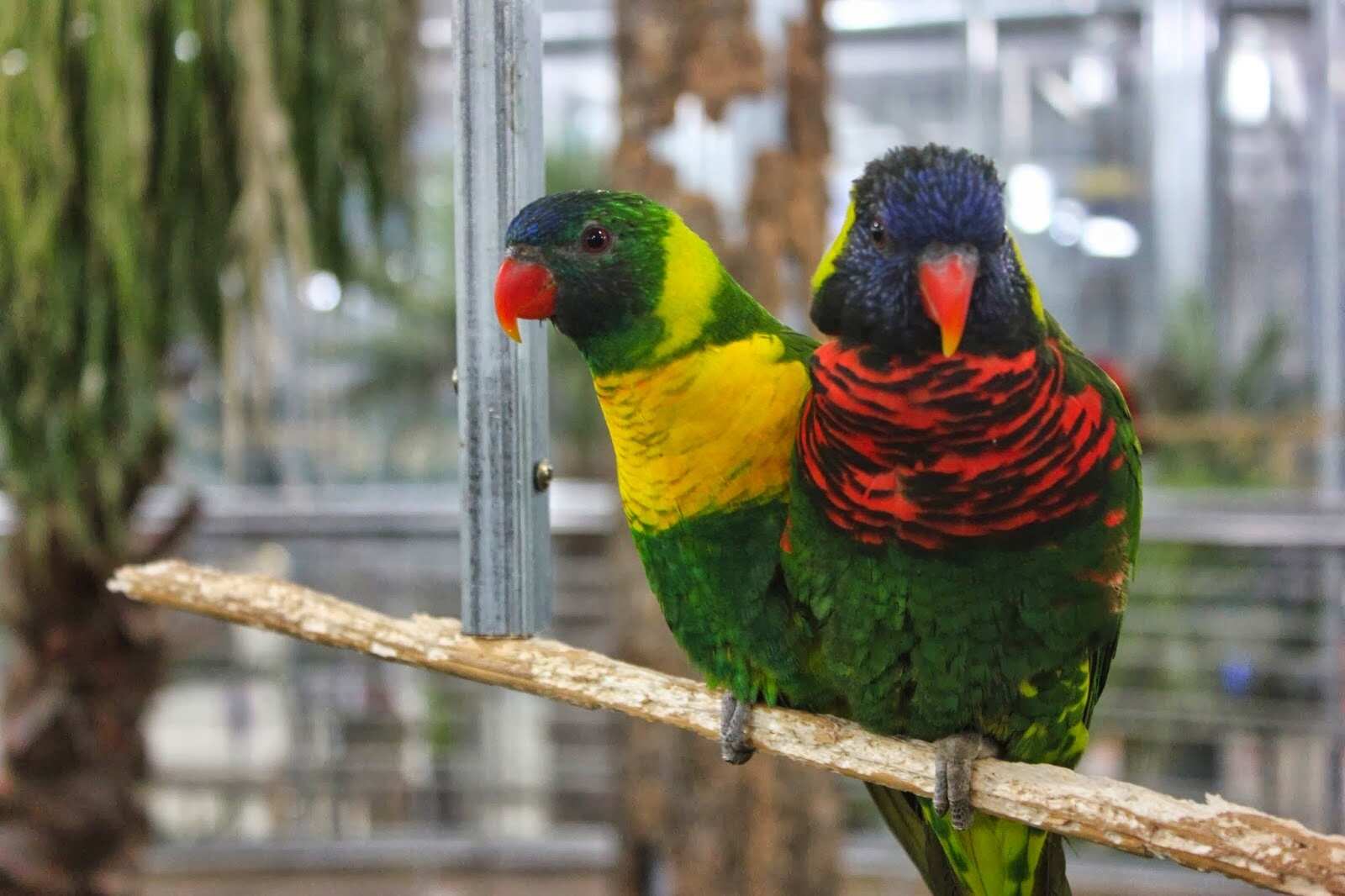 Южная Корея: полное погружение (3/52)