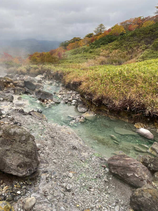 Комфортная экспедиция на Итуруп и Сахалин (6/61)