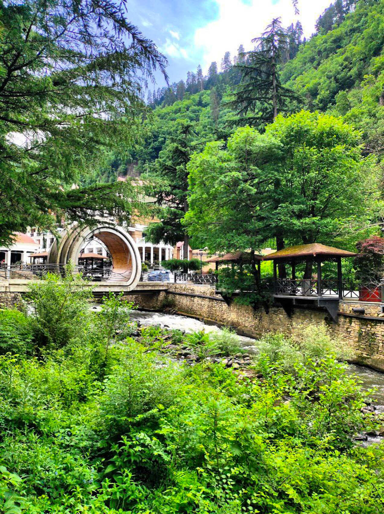 Горы, вино, великая история и люди! Яркая Грузия! (44/108)