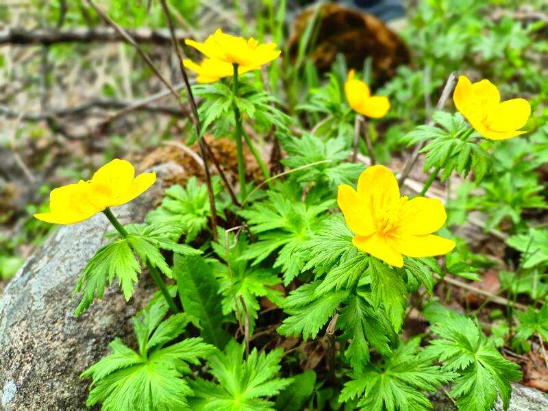 Эльбрус, Приэльбрусье и термальные источники (2/31)