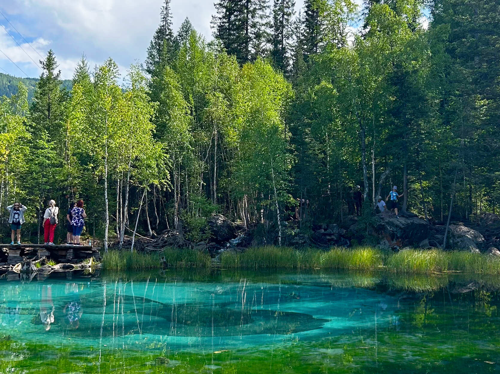 Алтай. Жизнь — Река. Экспедиция на плато Укок. (3/49)