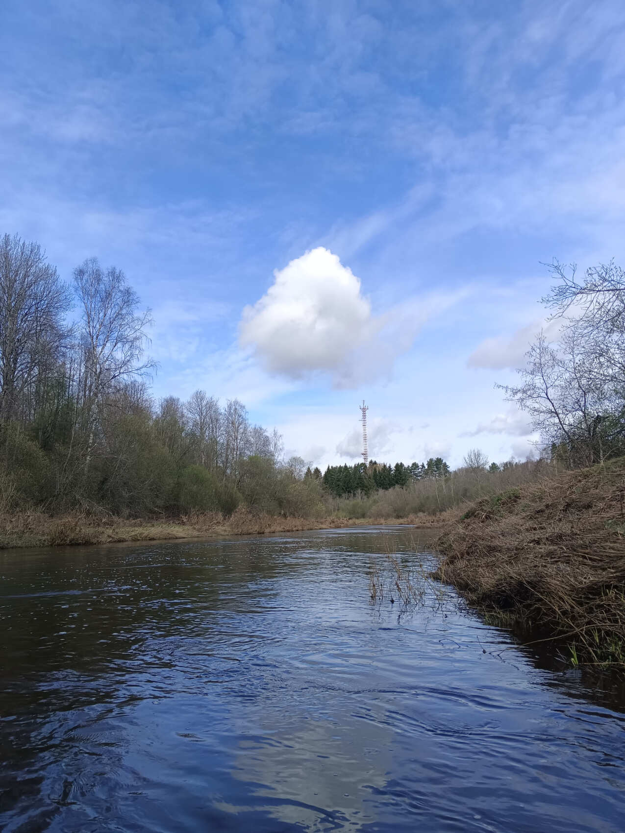 Сплав по реке Дёржа (Тверская обл.) на байдарках (1 день) (2/30)
