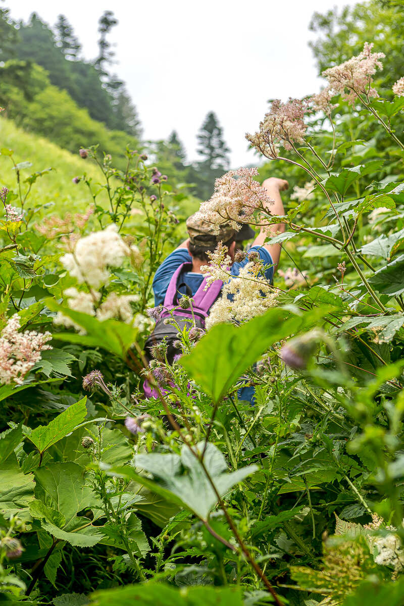 Лучшее на Шикотане. Путешествие на другую планету (17/126)