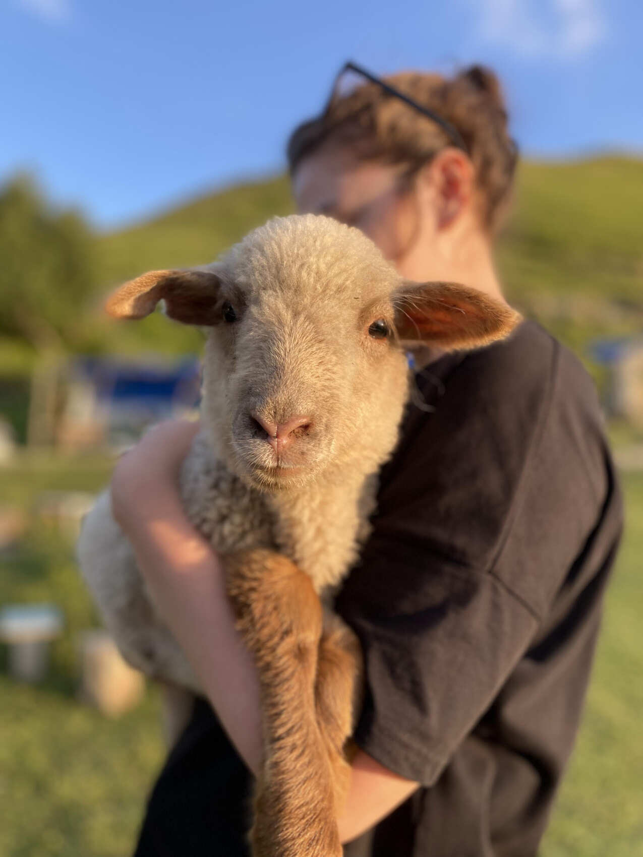Лучшее в Дагестане на майские. 4 дня. Всё включено. (37/62)
