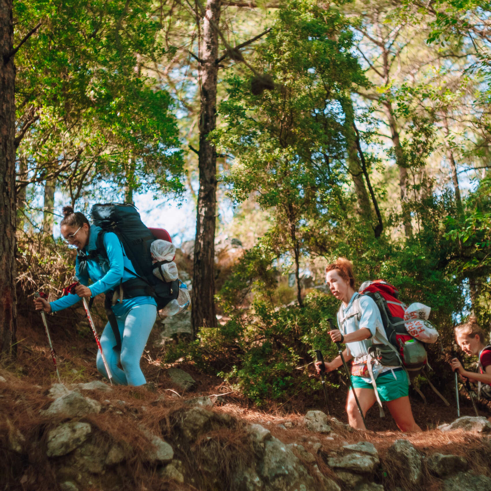 Поход по Турции. Ликийская тропа, западная часть. (17/31)