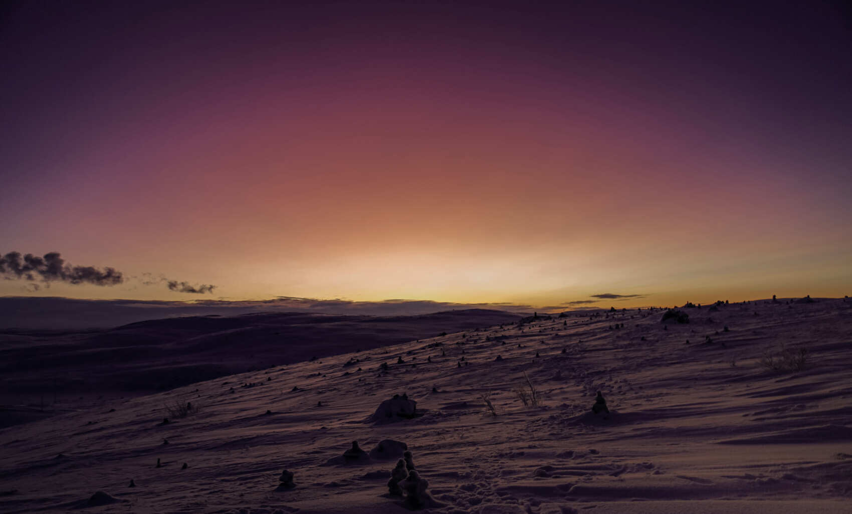 Тур к китам в Териберку (4/23)