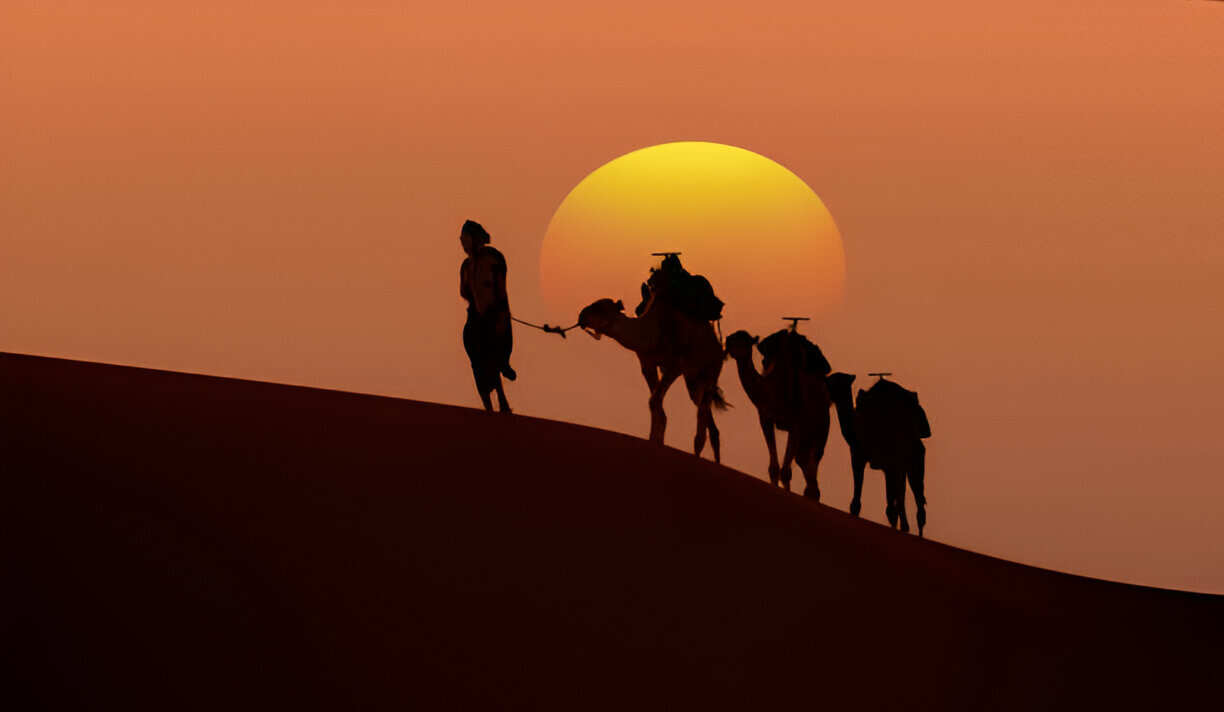 Desert Dreams & Imperial Cities: 8 Days Across Morocco (4/33)