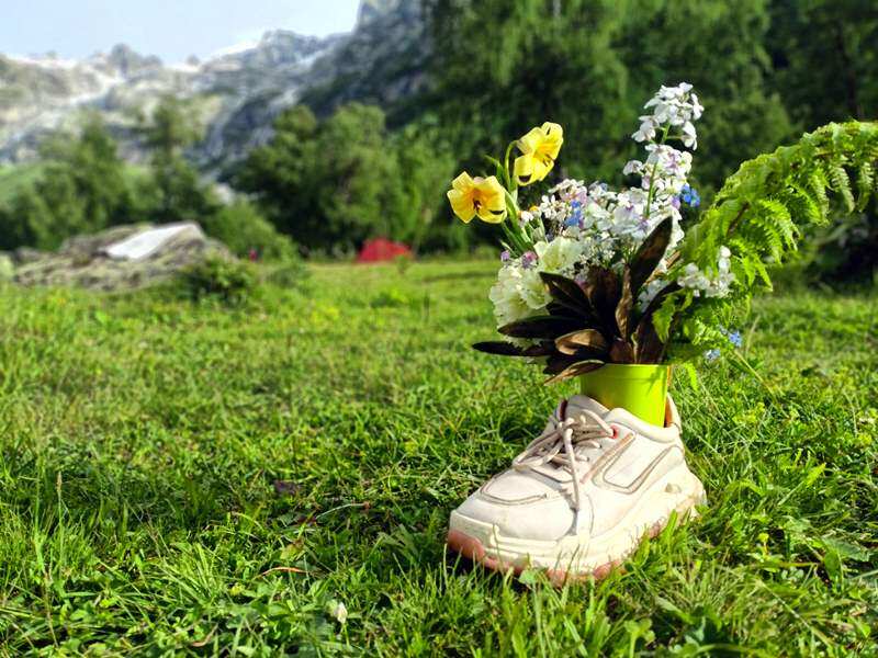 Архыз-Домбай экскурсионный (29/63)