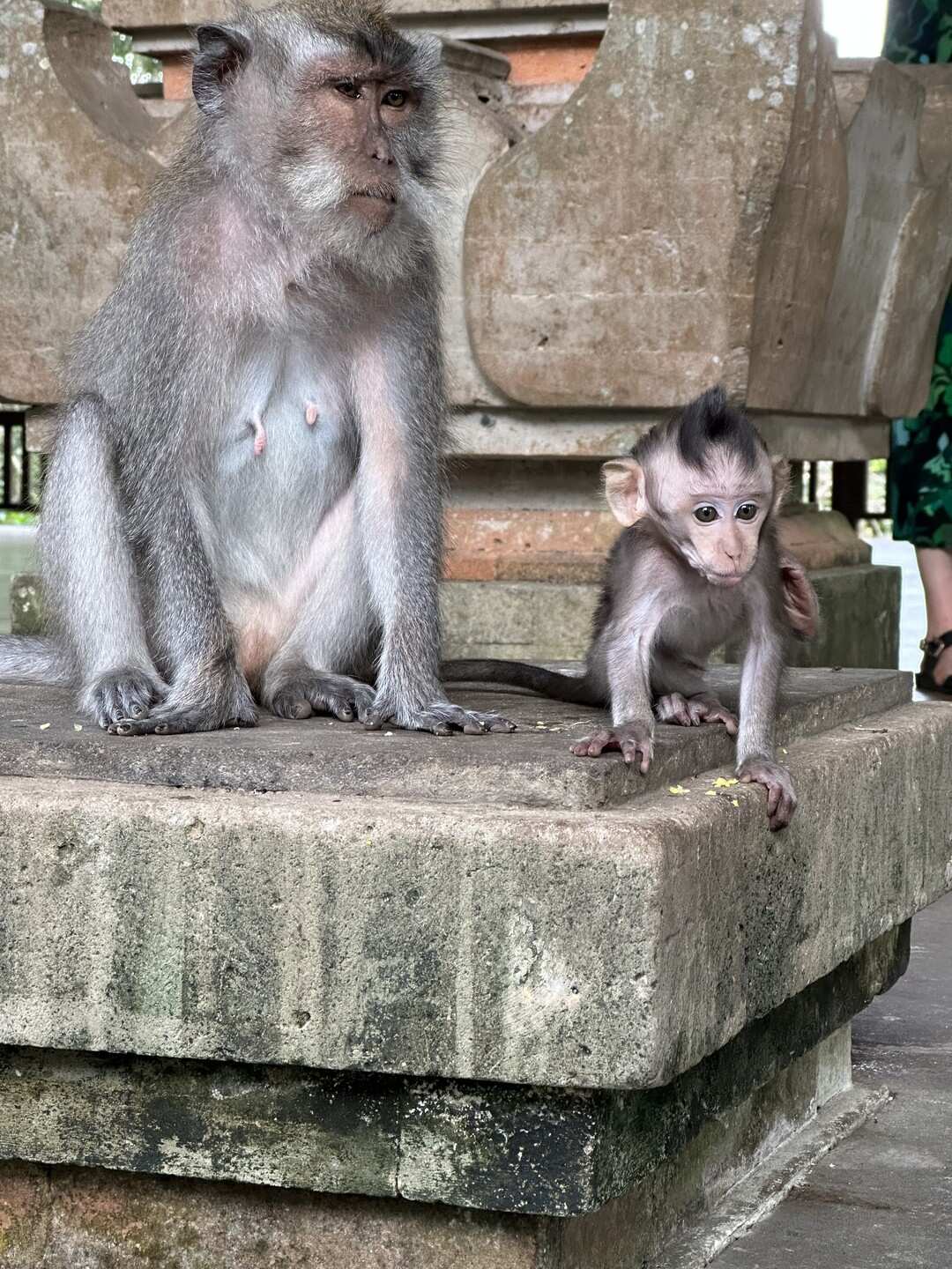 Бали, который вы ждёте! (46/89)